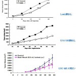 抗がん作用動物実験